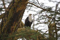 IMG_1057-scaled