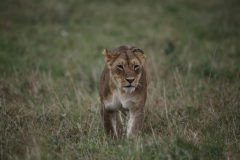 IMG_1305-1-scaled
