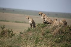 IMG_8006-scaled