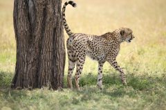 IMG_8177-scaled
