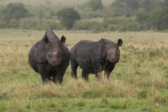 IMG_8573-scaled