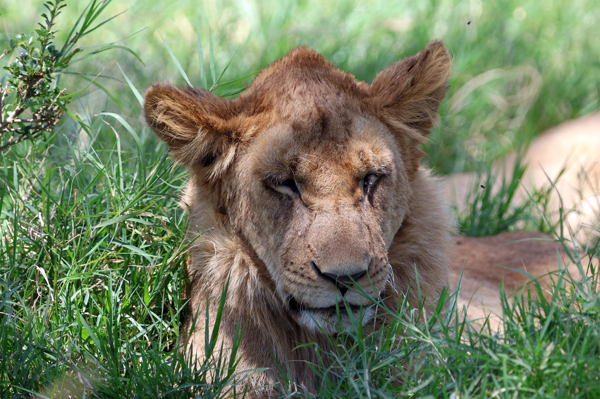 Samburu National Park