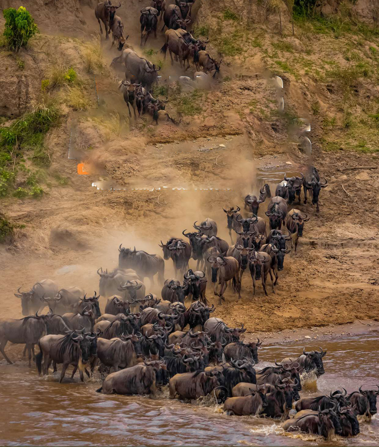 Wild & Adventure Tours