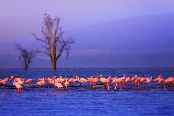 5 DAYS MOMBASA TRIP