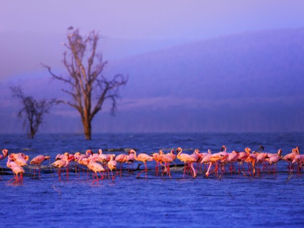 5 DAYS MOMBASA TRIP