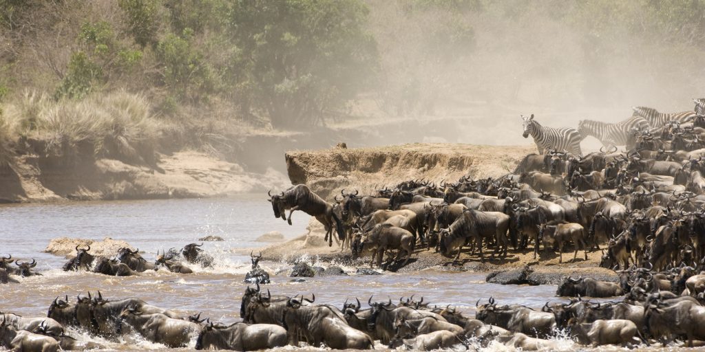 Maasai Mara landscape in Kenya, the setting for a tailor-made safari.