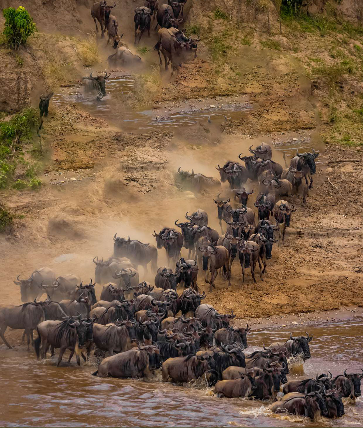 Maasai Mara