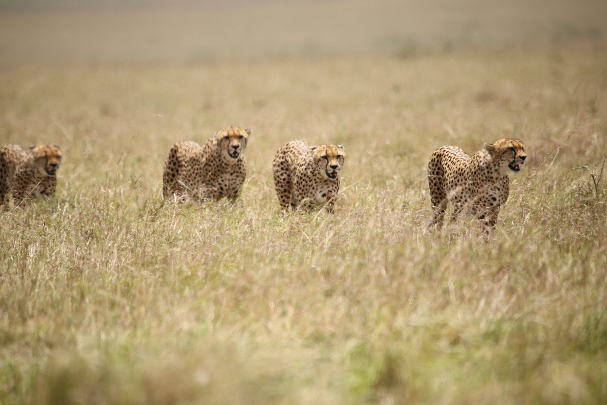 Samburu National Park