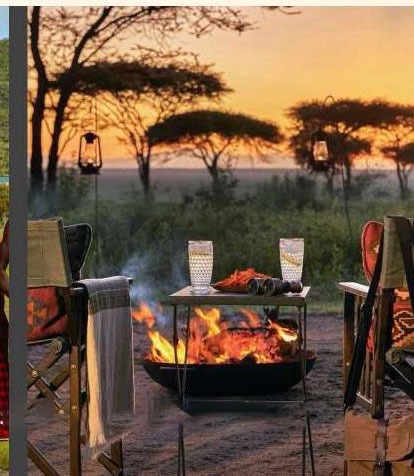 Holiday & Seasonal Tours