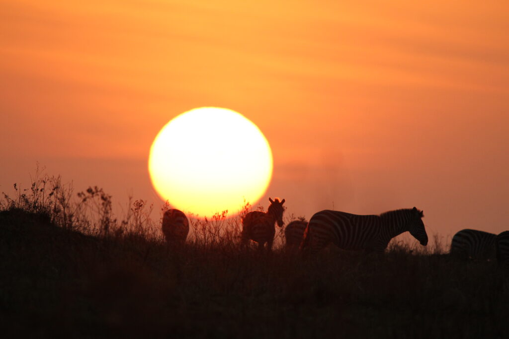Masai Mara Fly-In Safari